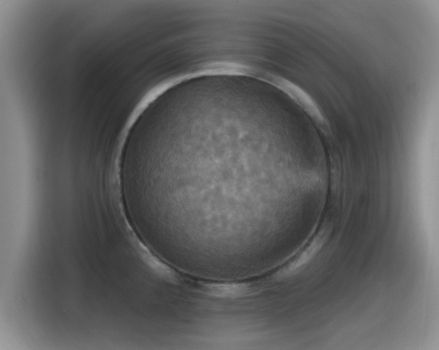 X0000115451192200911121147