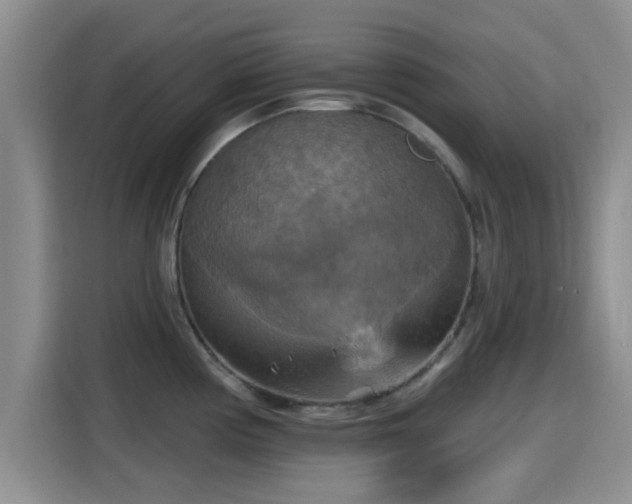 X0000115451194200911121147