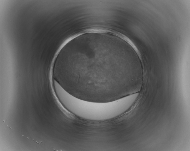 X0000115451195200911121147