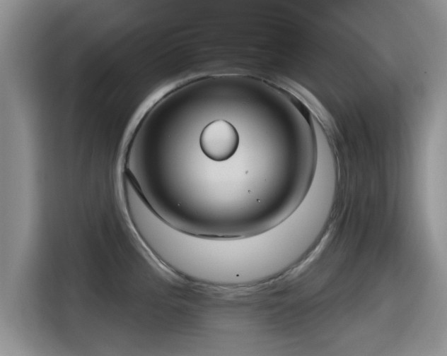 X0000115451196200911121147