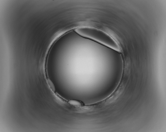 X0000115451197200911121147