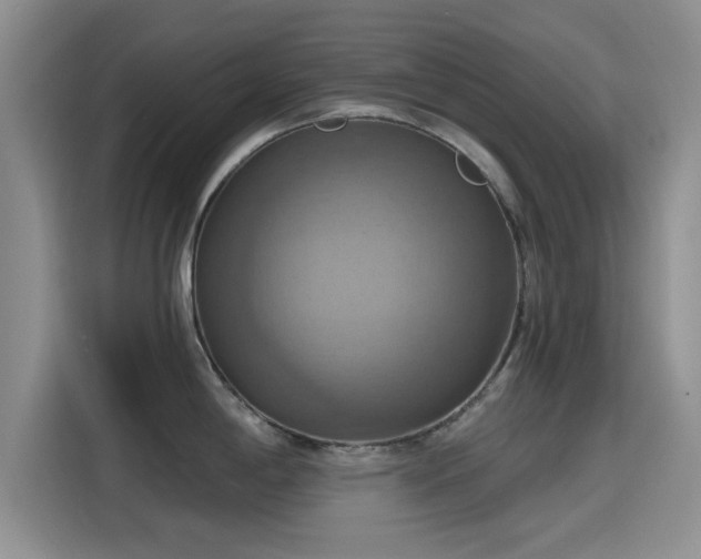 X0000115451198200911121147