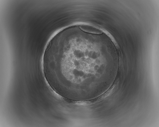 X0000115451199200911121147