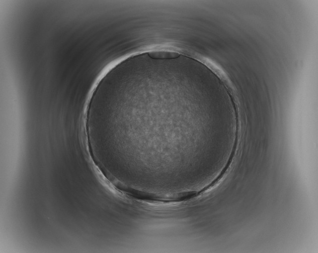 X0000115451200200911121147