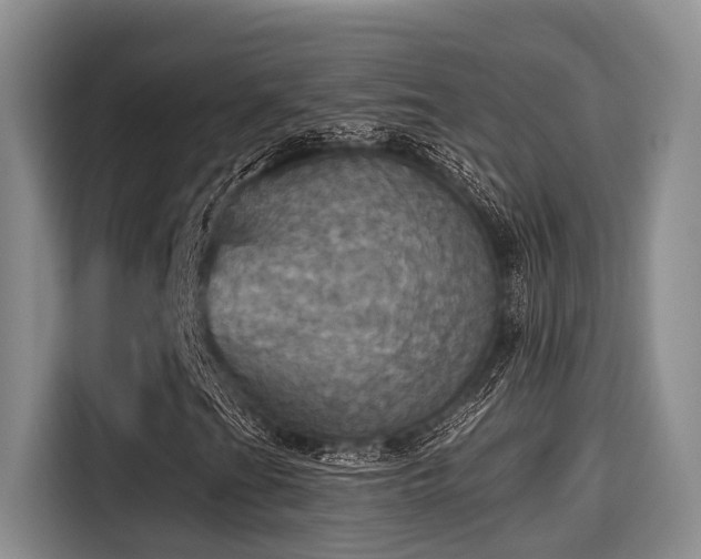 X0000115451201200911121147