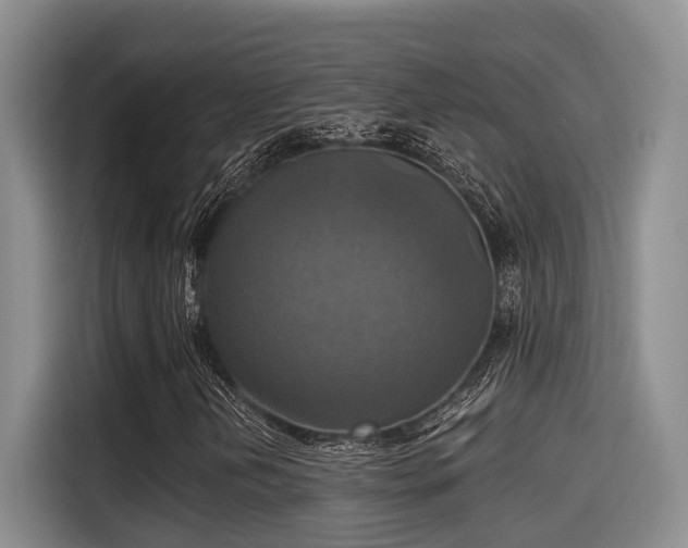 X0000115451202200911121147