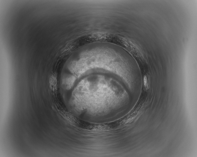X0000115451203200911121147