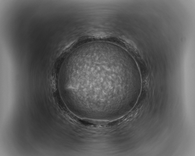 X0000115451205200911121147