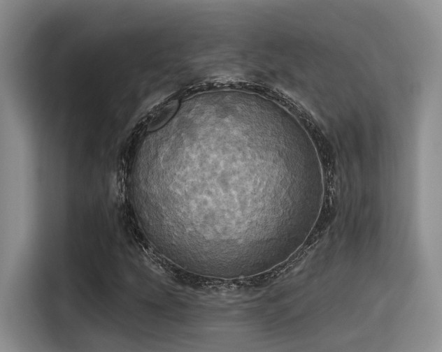 X0000115451207200911121147