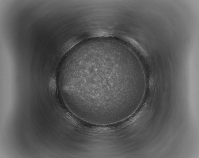 X0000115451209200911121147