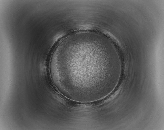 X0000115451210200911121147