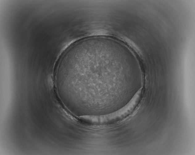 X0000115451212200911121147