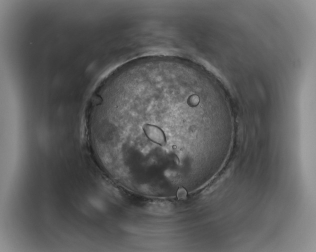 X0000115451215200911121147