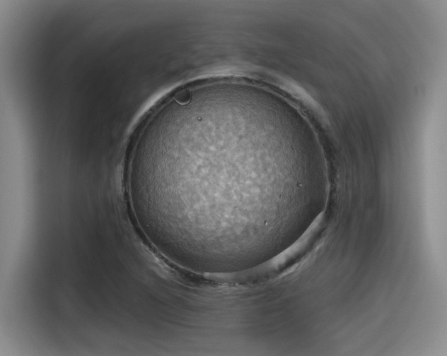 X0000115451216200911121147
