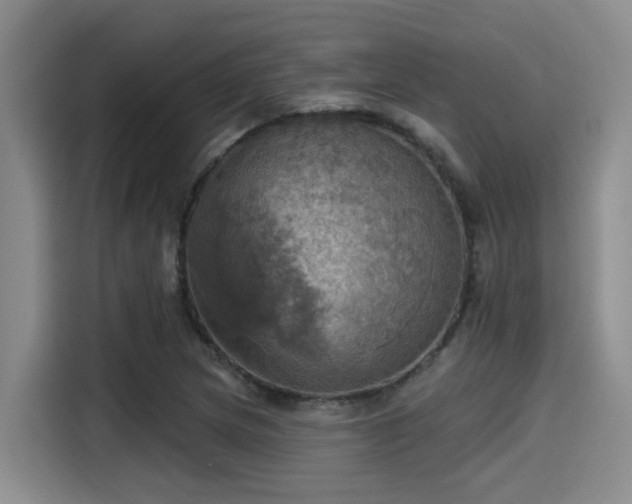 X0000115451217200911121147