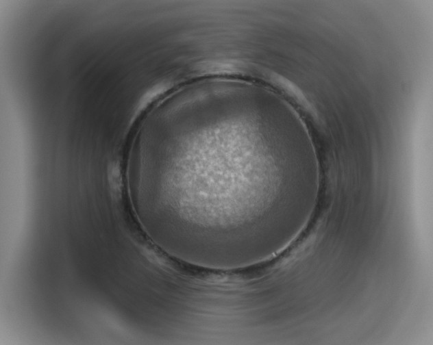 X0000115451218200911121147