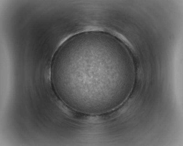 X0000115451220200911121147