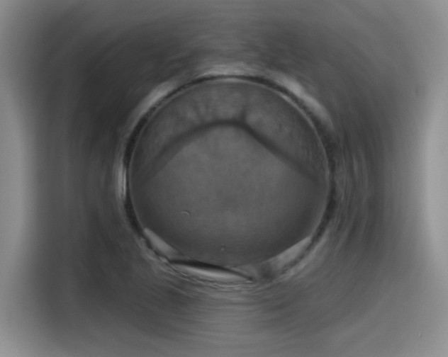 X0000115451221200911121147