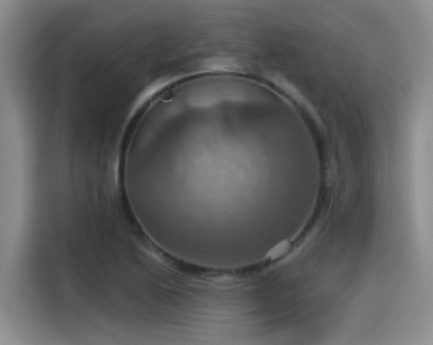 X0000115451222200911121147