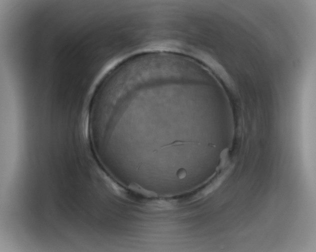 X0000115451224200911121147