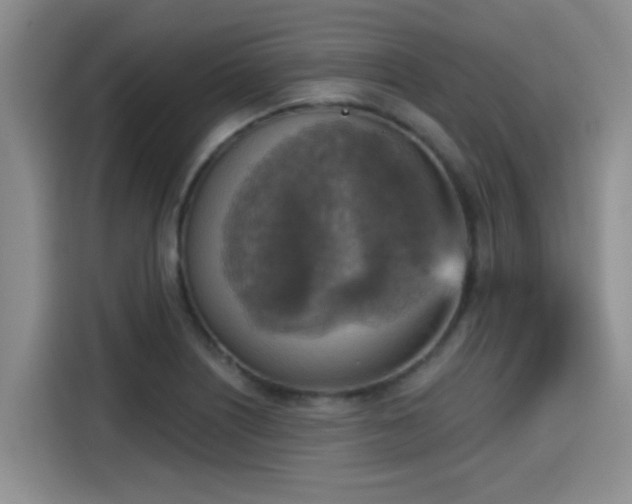 X0000115451226200911121147