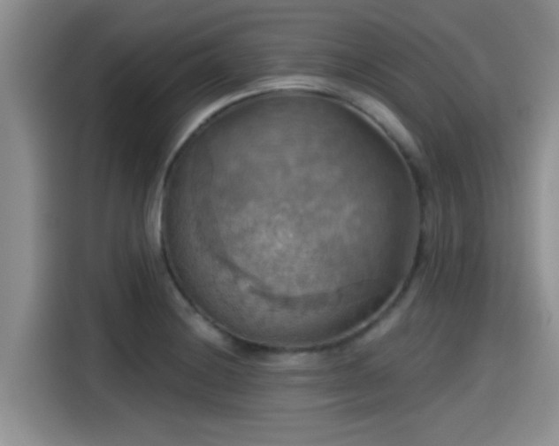 X0000115451228200911121147