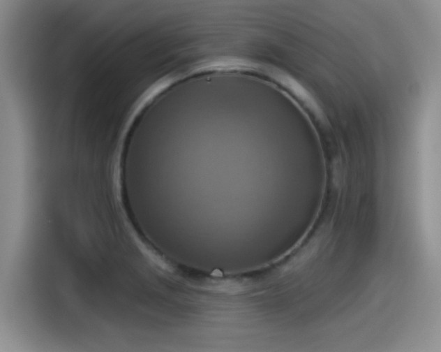 X0000115451229200911121147