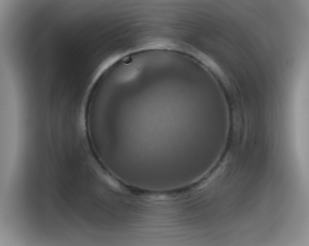X0000115451230200911121147