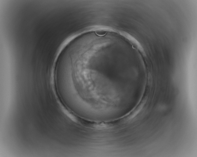 X0000115451231200911121147