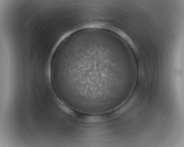X0000115451232200911121147
