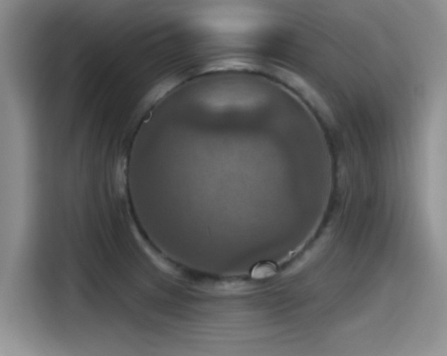 X0000115451233200911121147