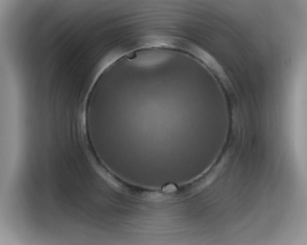 X0000115451234200911121147