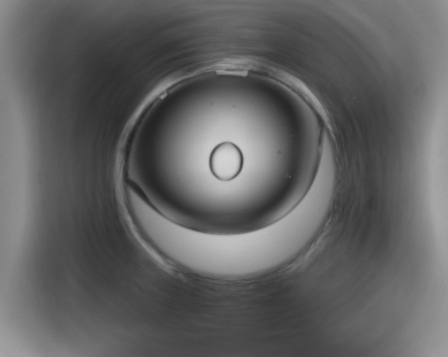 X0000115451235200911121147