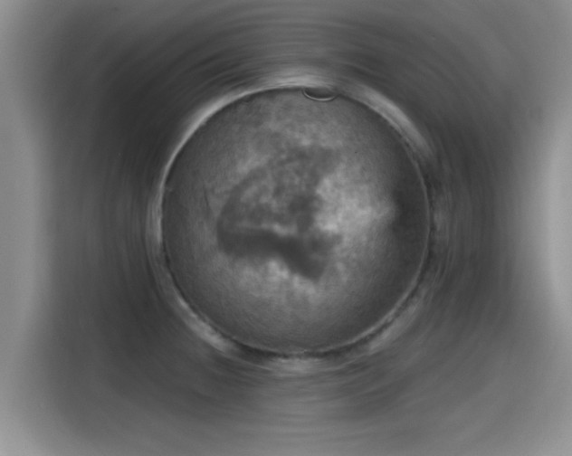 X0000115451236200911121147