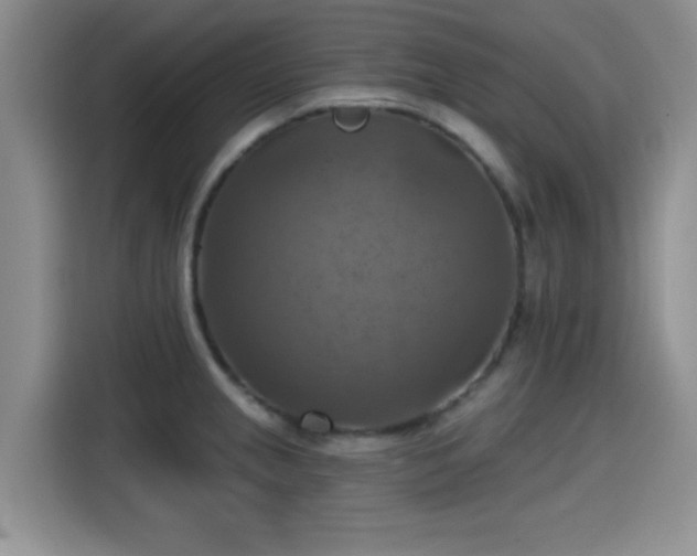 X0000115451237200911121147