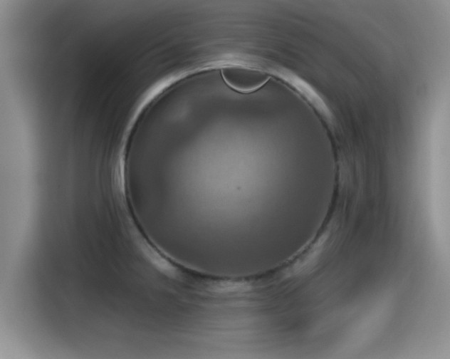 X0000115451238200911121147
