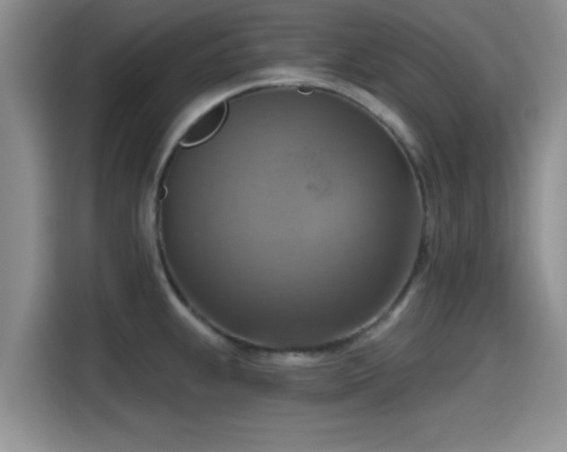 X0000115451239200911121147