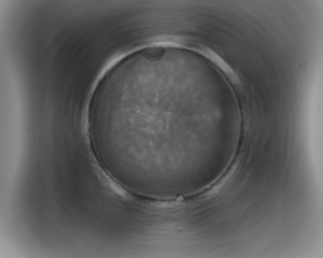 X0000115451240200911121147