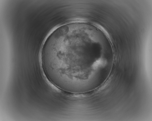 X0000115451243200911121147