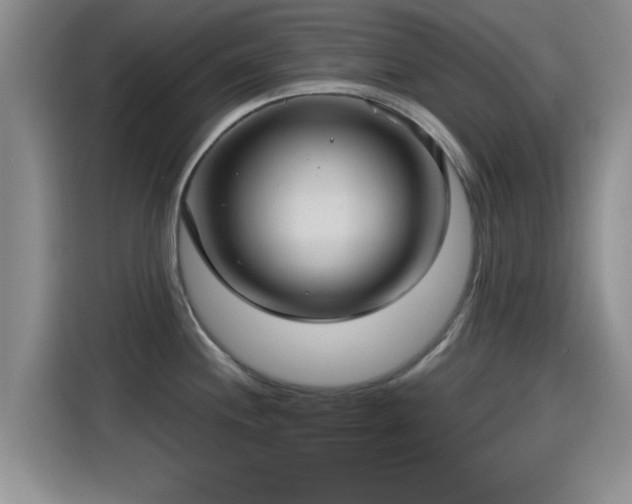 X0000115451244200911121147