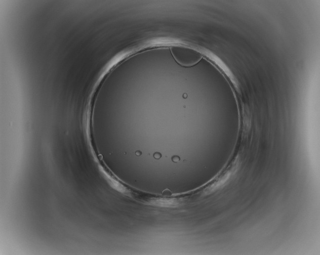 X0000115451245200911121147
