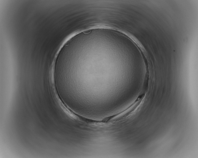 X0000115451246200911121147