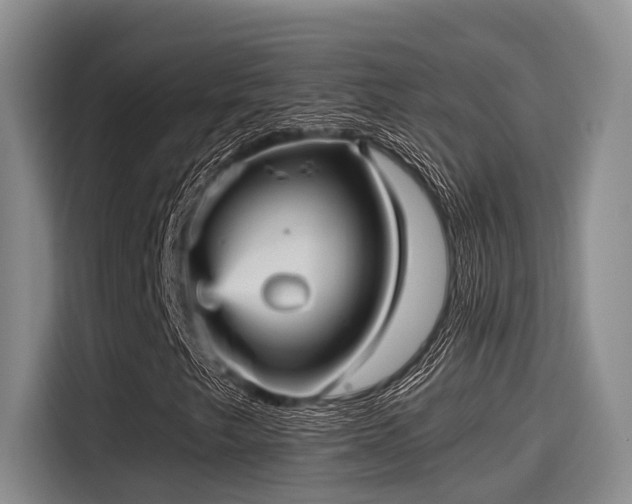 X0000115451249200911121147
