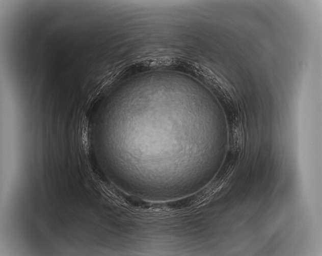 X0000115451250200911121147