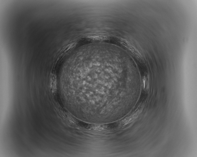 X0000115451251200911121147