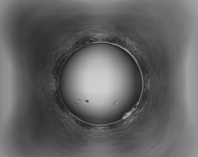 X0000115451253200911121147