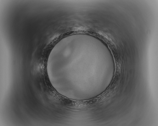 X0000115451254200911121147