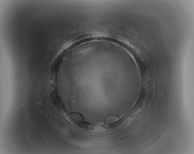 X0000115451255200911121147