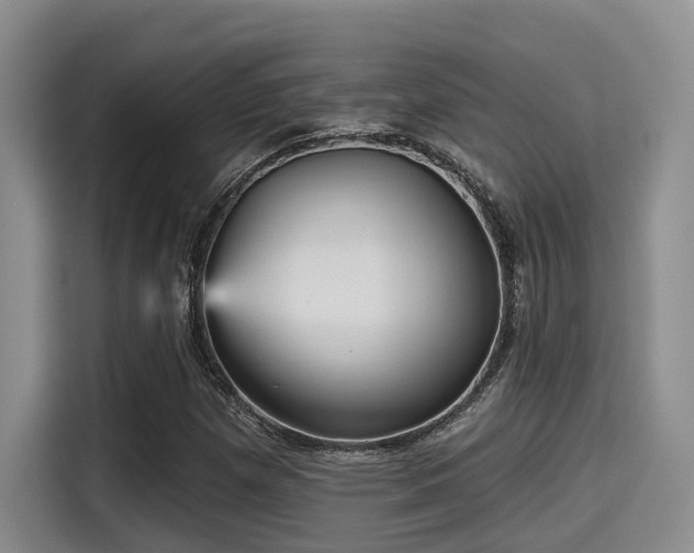 X0000115451257200911121147