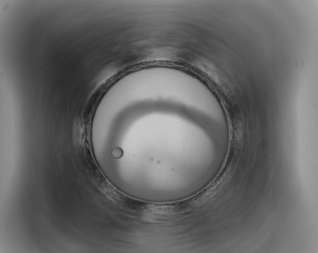 X0000115451258200911121147
